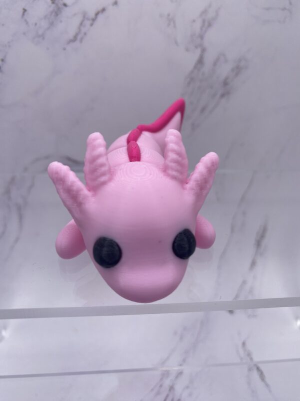 Axolotl - Image 2